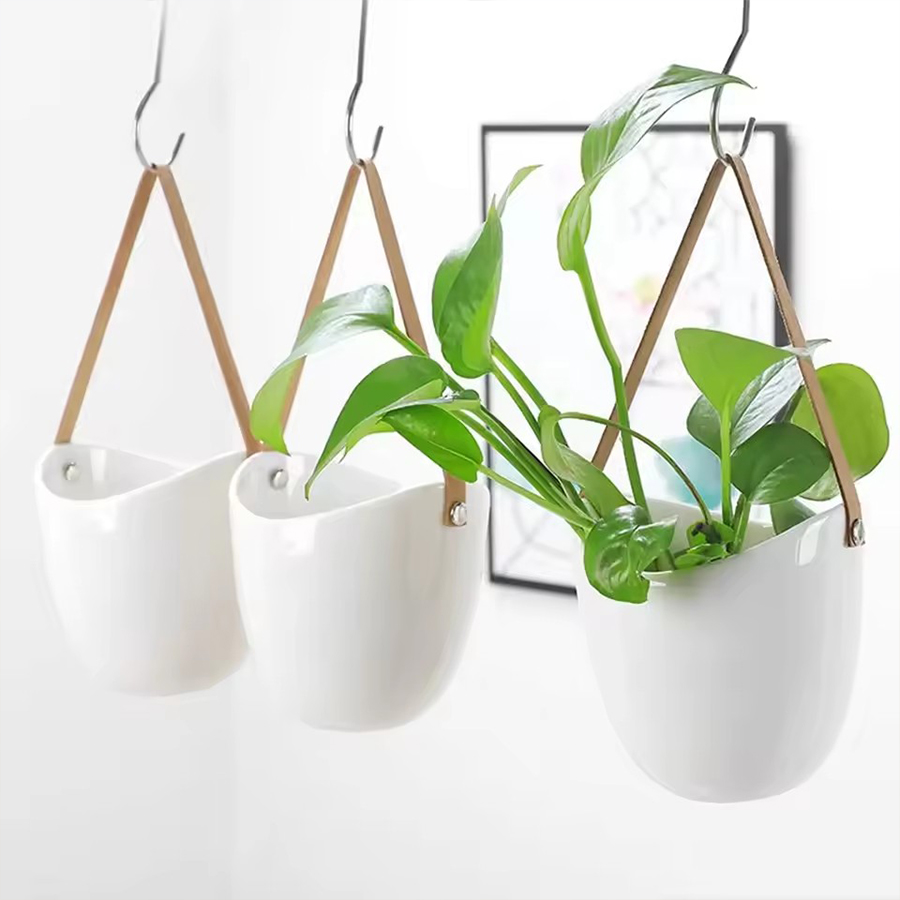 White Hanging Planter Pot with - Aloe Vera Pot review and price