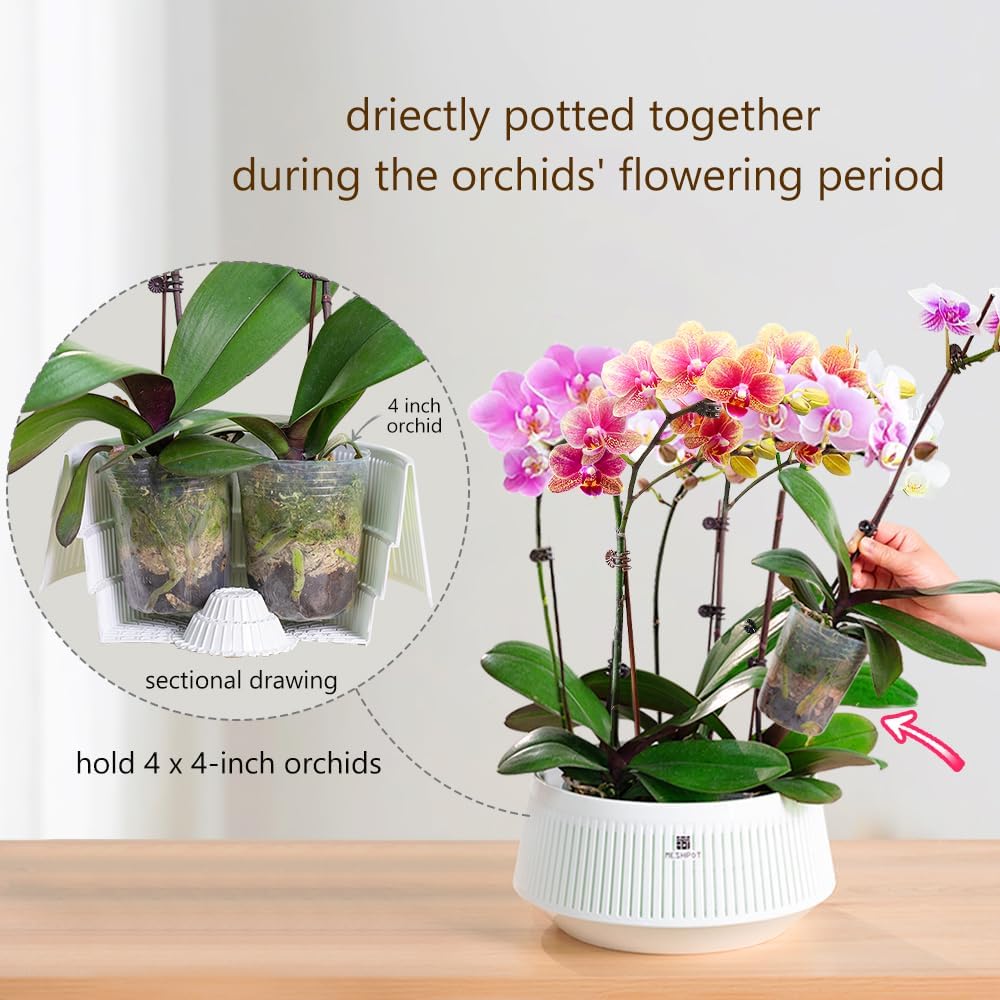 Meshpot Orchid Pot with Holes  - Aloe Vera Pot review and price