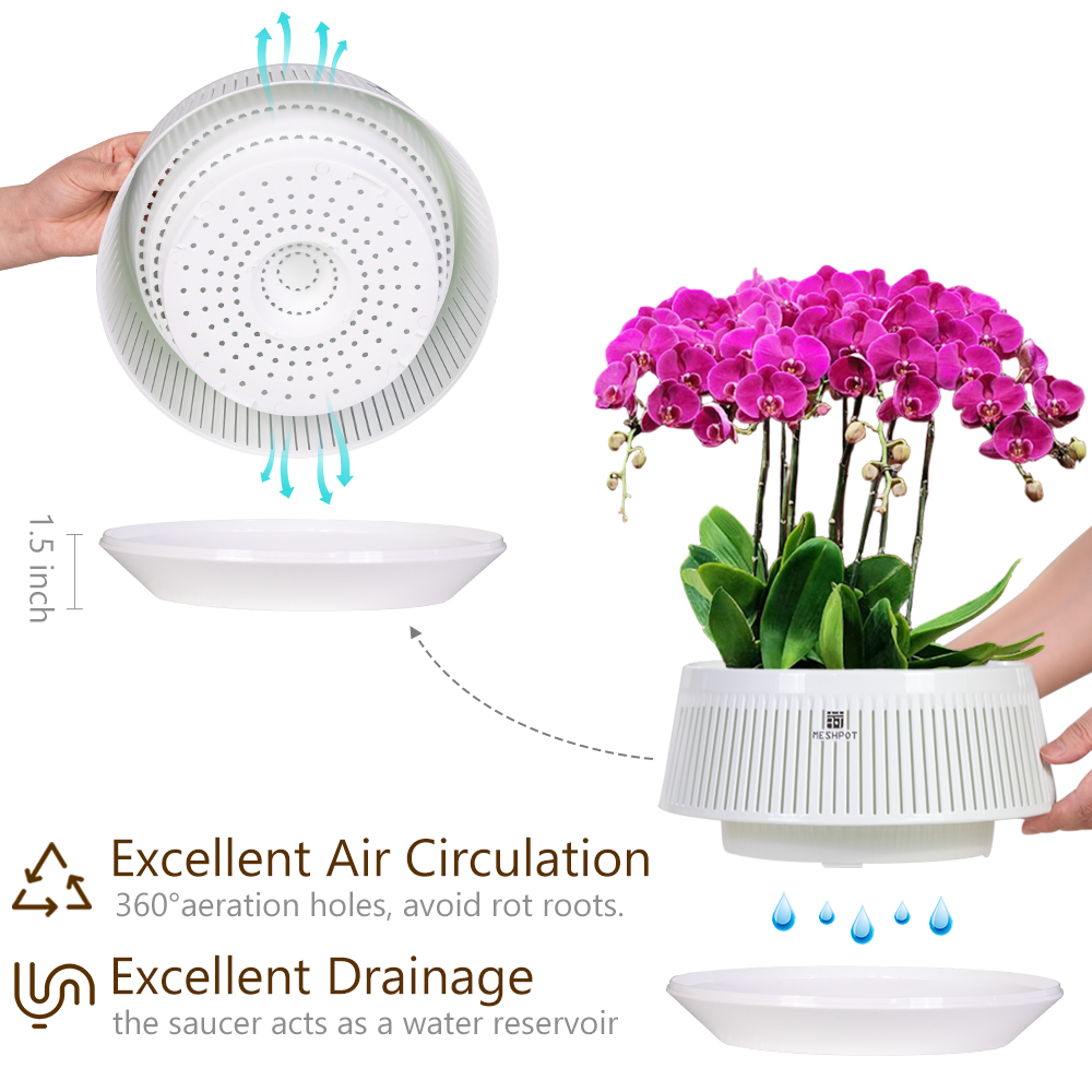 Meshpot Orchid Pot with Holes  - Aloe Vera Pot review and price