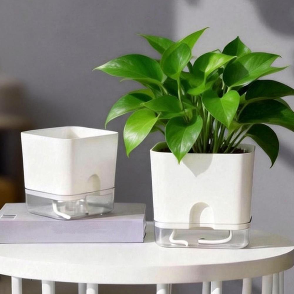 Automatic Watering Flower Pots - Aloe Vera Pot review and price