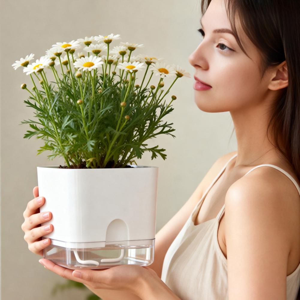 Automatic Watering Flower Pots - Aloe Vera Pot review and price