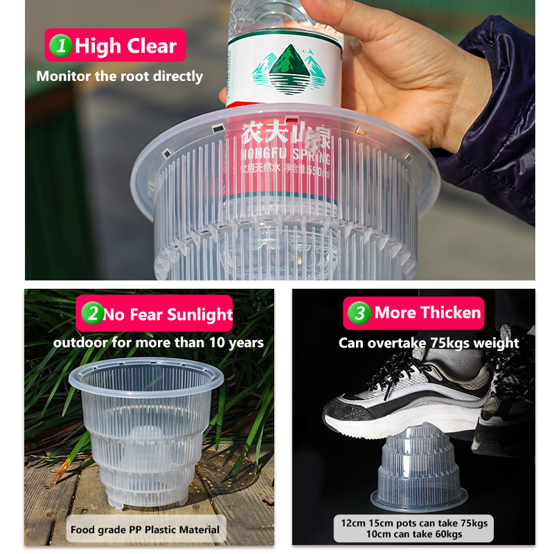 Meshpot Clear Plastic Orchid P - Aloe Vera Pot review and price