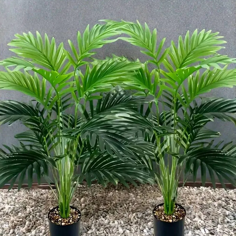 36Leaves Areca Palm Simulation - Monstera Adansonii review and price
