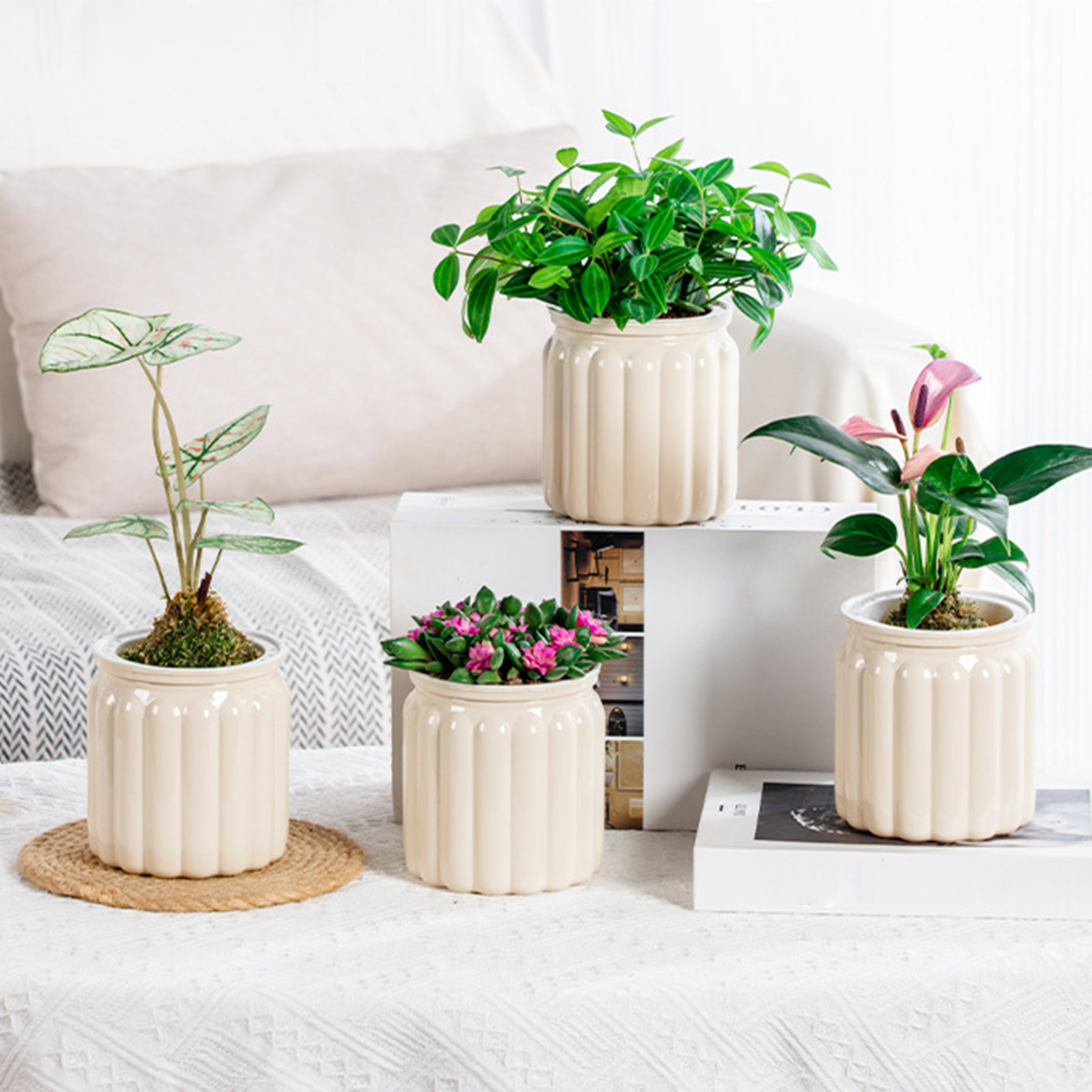 Lazy Hydroponic Flower Pot Aut - Aloe Vera Pot review and price