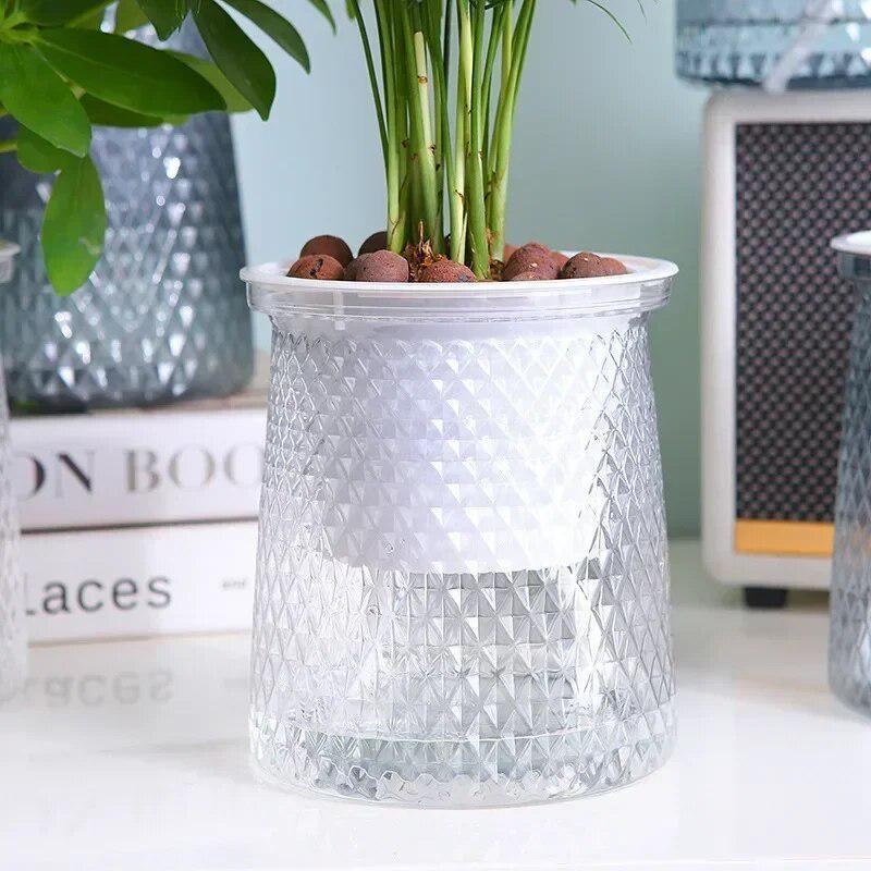 2024 Transparent Self Watering - Aloe Vera Pot review and price