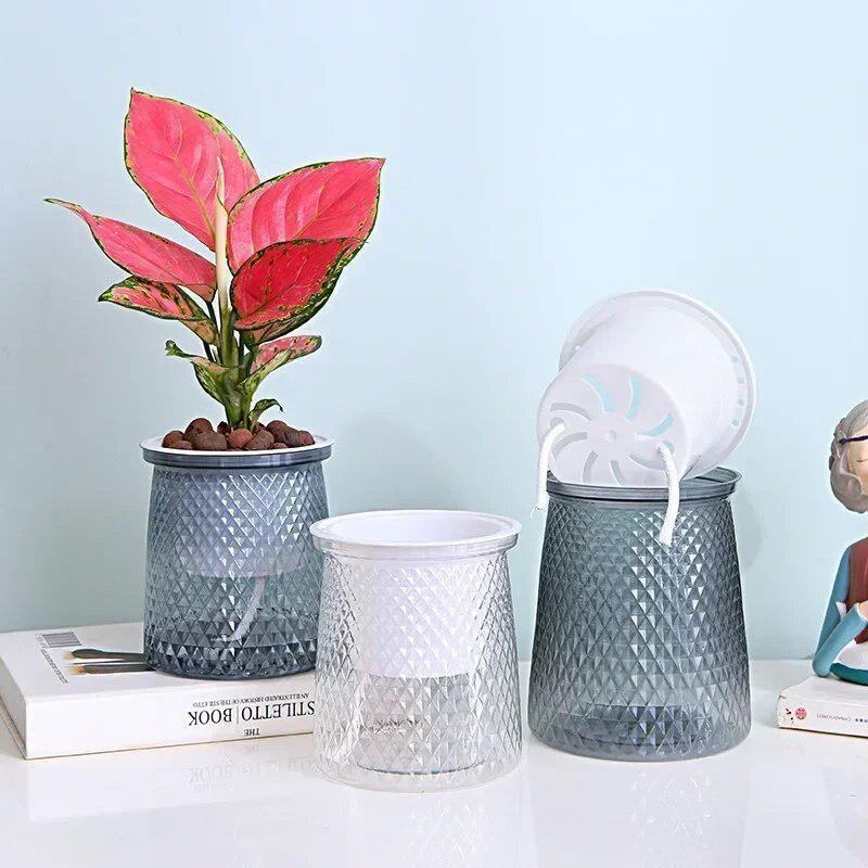 2024 Transparent Self Watering - Aloe Vera Pot review and price