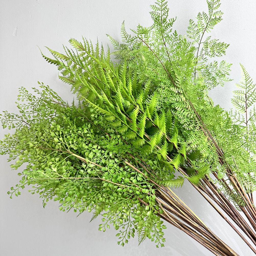 Realistic Artificial Fern Plan - Dracaena Marginata review and price