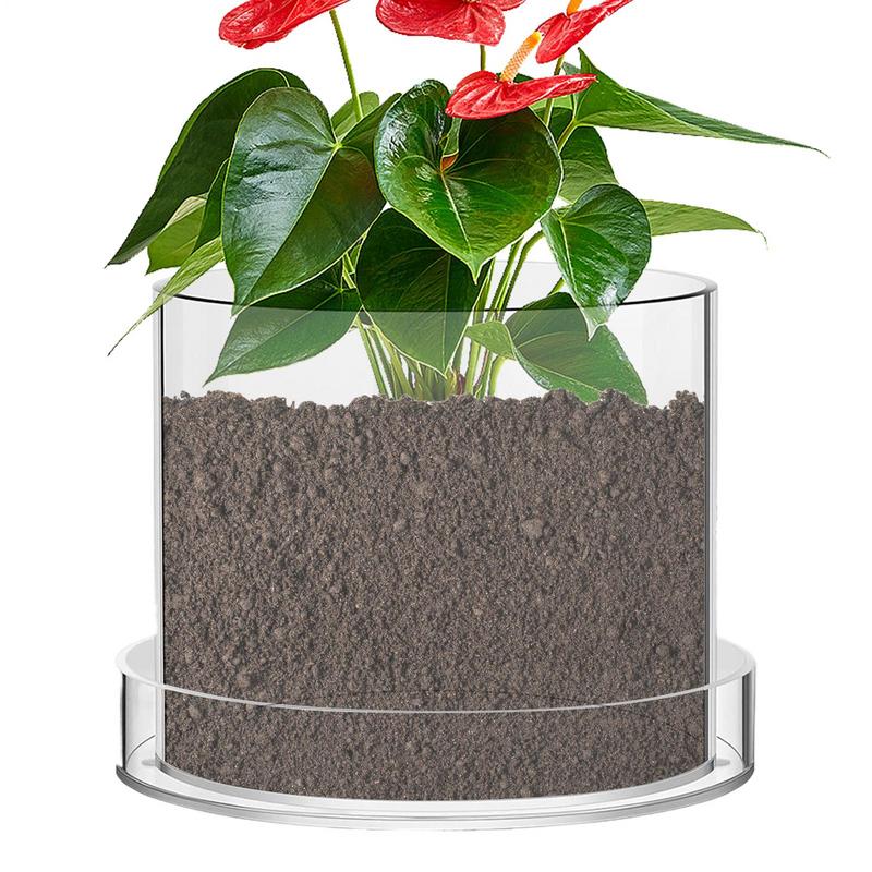 Clear Plant Pots With Drainage - Aloe Vera Pot review and price