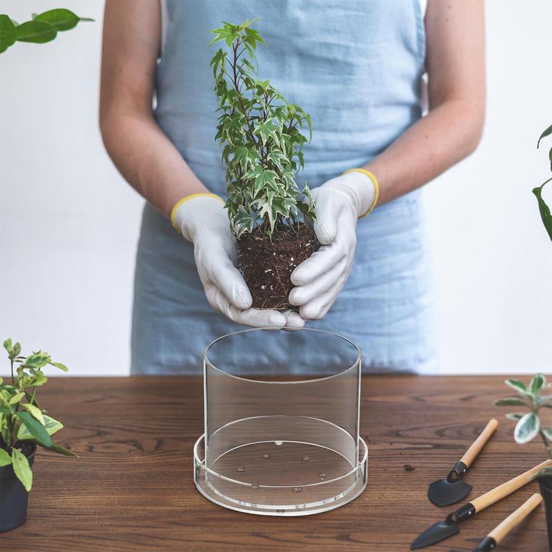 Clear Plant Pots With Drainage - Aloe Vera Pot review and price