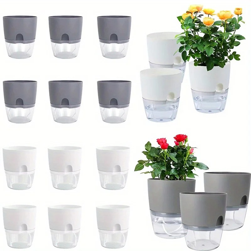 10/5Pcs Self Watering Plastic  - Aloe Vera Pot review and price