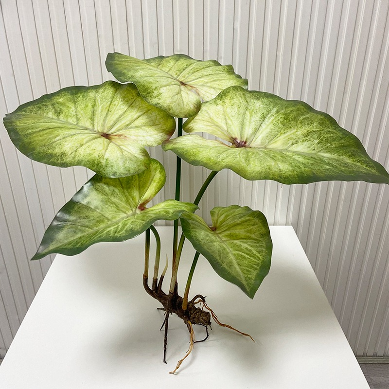Lifelike Large Lotus Leaves wi - Dracaena Marginata review and price
