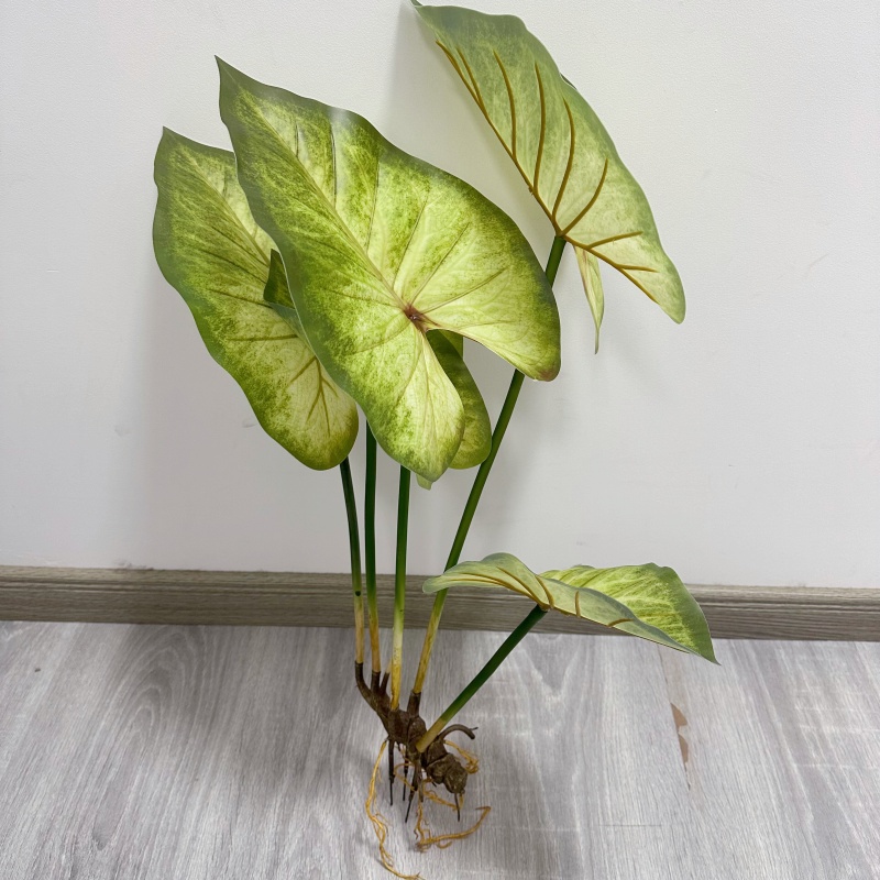 Lifelike Large Lotus Leaves wi - Dracaena Marginata review and price