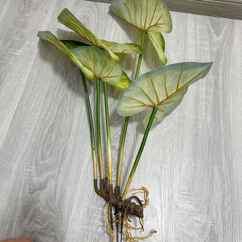 Lifelike Large Lotus Leaves wi - Dracaena Marginata review and price