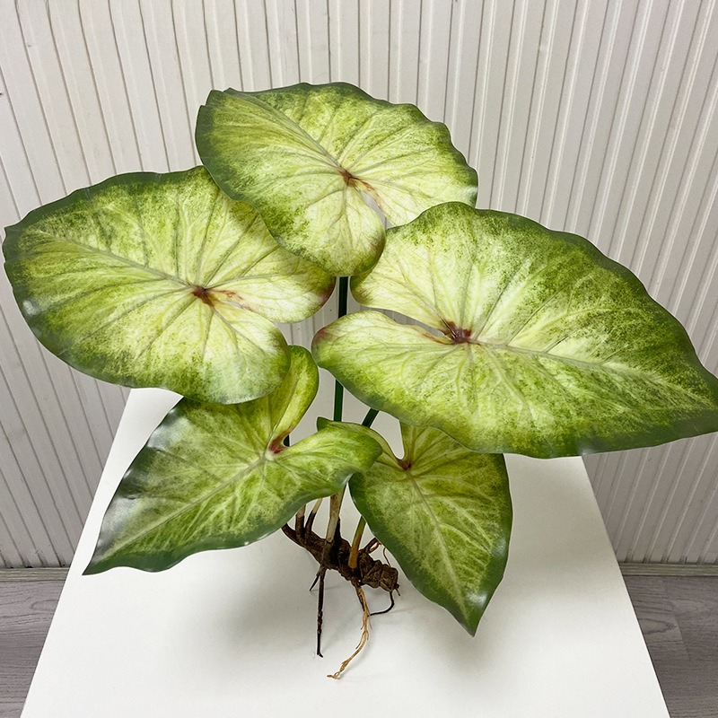 Lifelike Large Lotus Leaves wi - Dracaena Marginata review and price