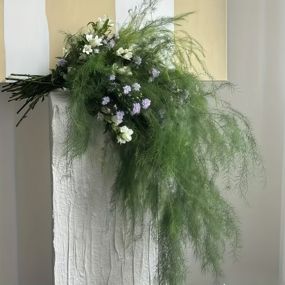 3pcs Artificial Reed Grass Gar - Dracaena Marginata review and price