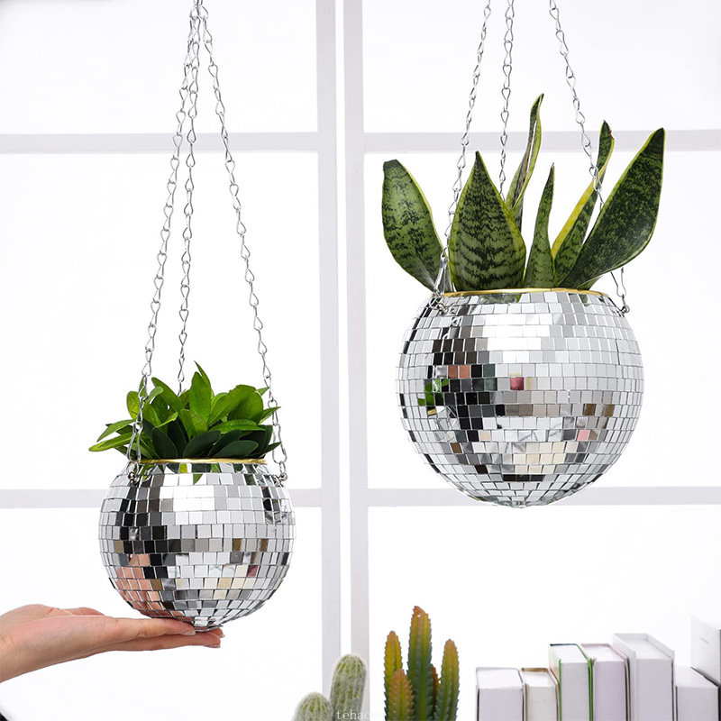 Disco Mirror Ball Hanging Flow - Echeveria Succulent review and price