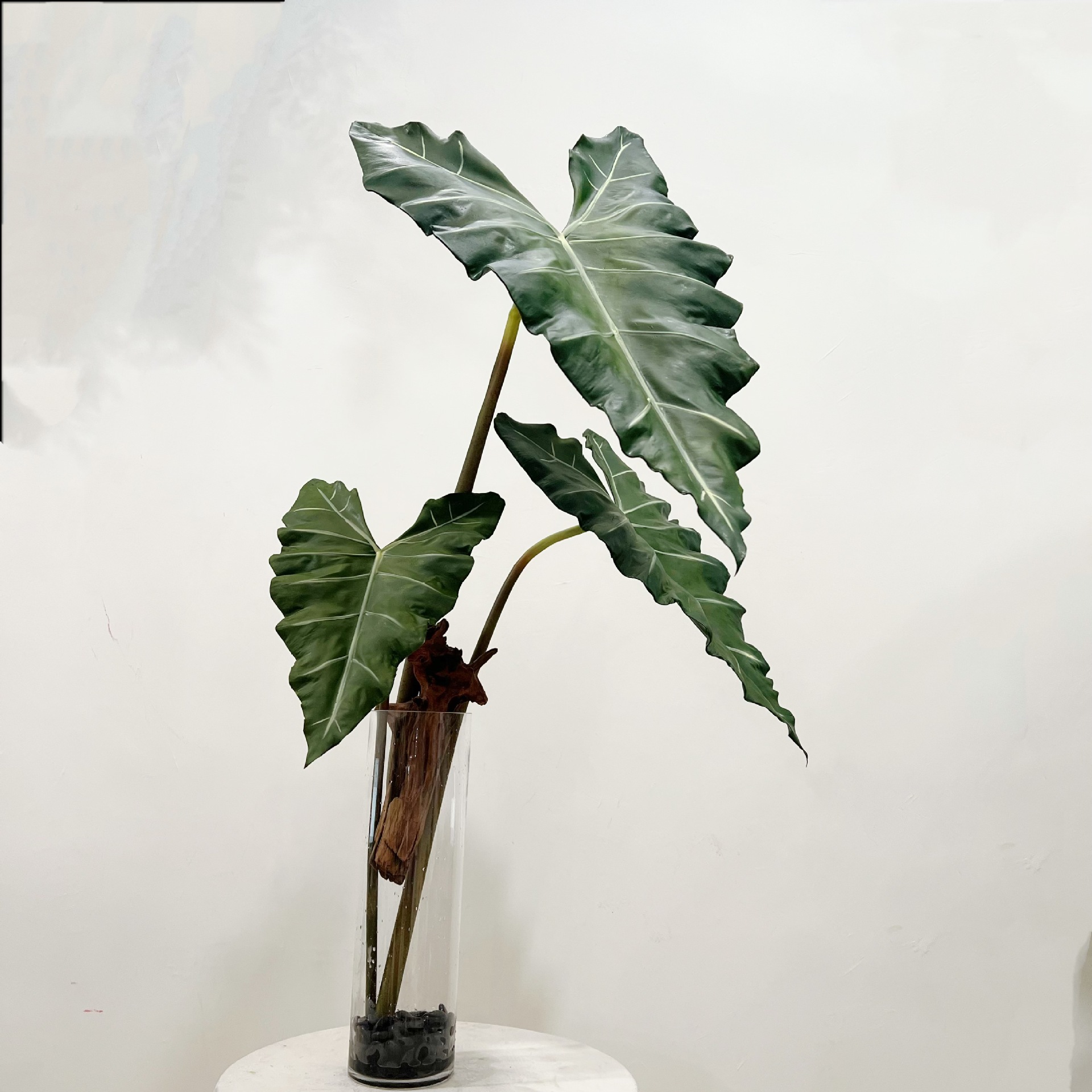 Simulated Long PU Hand-feel Gr - Monstera Adansonii review and price