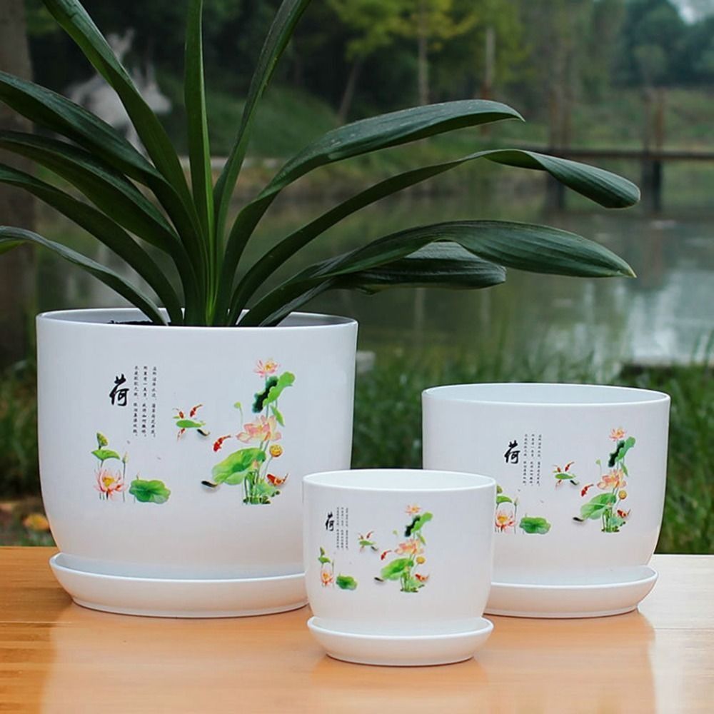 Extra Large Plastic Flower Pot - Aloe Vera Pot review and price