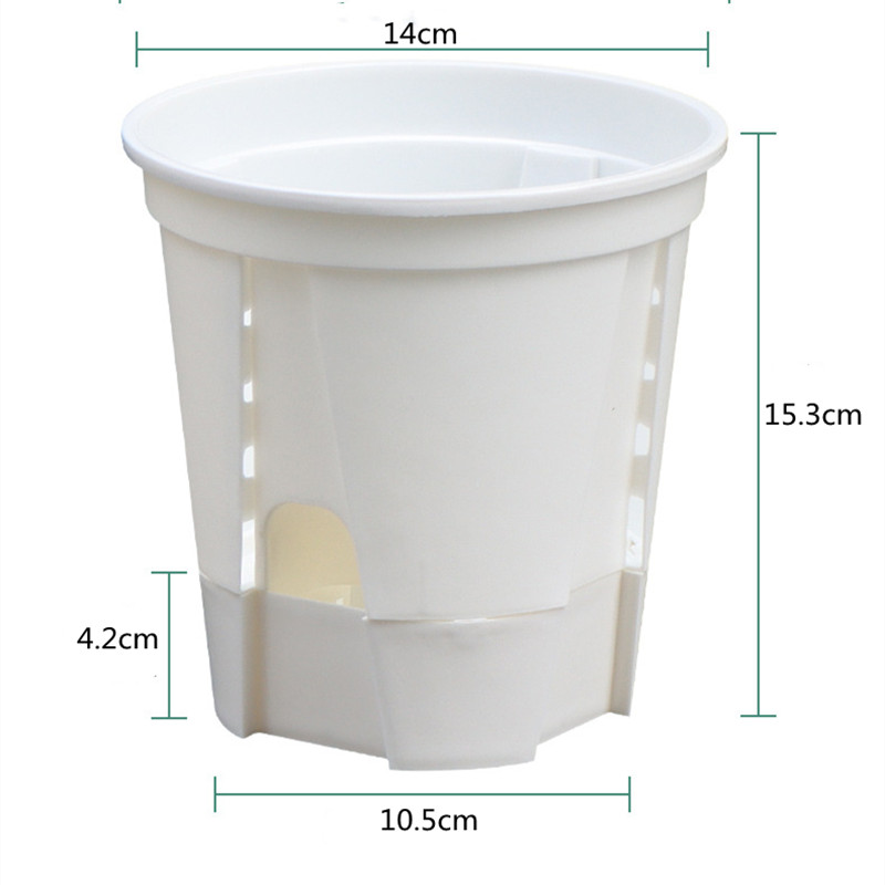 5pcs Transparent Orchid Pot wi - Aloe Vera Pot review and price